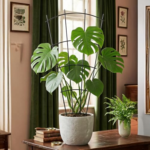 Thealyn 24" Metal Plant Trellis, Climbing Plant Support, 4 Pack Black - color: Black, size: 24 inch