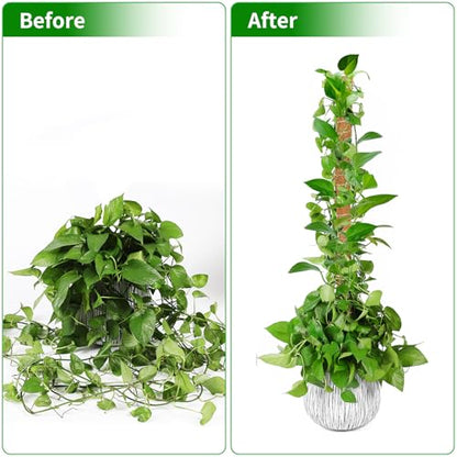 2 Pack 63'' Moss Pole for Monstera, Bendable Coco Coir Plant Support Stakes - size: 2 Pack（63-Inch）