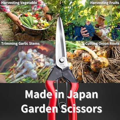 Harvesting Scissors Blunt Tips 7.9" for Vegetable, Fruits, Plants - Japanese Garden Shears Pruning Snips - Sharp Japanese Stainless Steel Blade & Non-Slip Spring-Loaded Handle - Made in Japan - style: Harvesting
