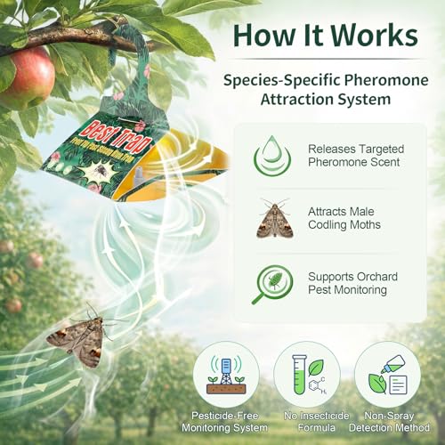 6 Pack Codling Moth Traps for Apple Trees with Pheromone Lures – Triangular Hanging Sticky for Apple Trees, Includes 6Traps & 6 Lures, for Orchard & Garden Use - style: for Apple