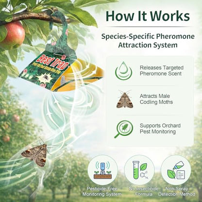 6 Pack Codling Moth Traps for Apple Trees with Pheromone Lures – Triangular Hanging Sticky for Apple Trees, Includes 6Traps & 6 Lures, for Orchard & Garden Use - style: for Apple