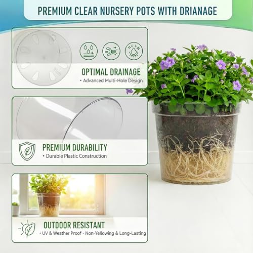 4/5/6/7 Inch Clear Nursery Pots with Drainage Holes 12 Pack - size: 7/6/5/4inch