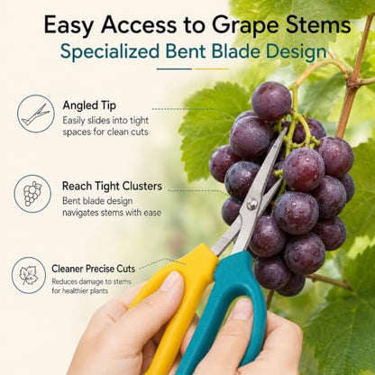 1pc Garden Trimming Scissors for Fruits and Grapes, Bent Blade