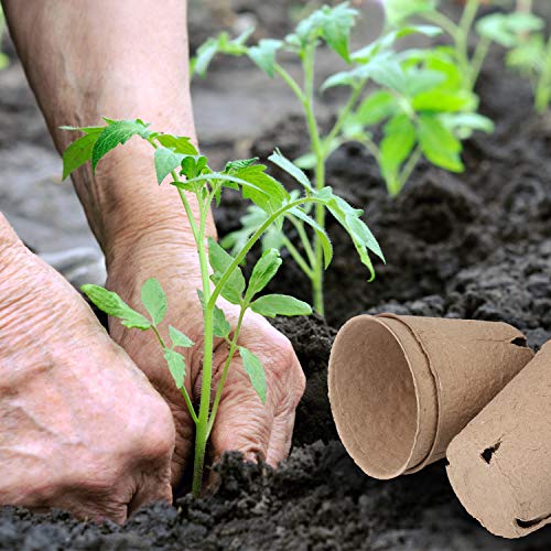 homenote Peat Pots, 60 Pcs 3.15 Inch Seed Starting Pots with Drainage Holes, Round Nursery Plant Pots with Bonus 20 Plant Labels - size: 3.15 Inch