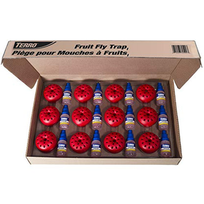 Terro Fruit Fly Traps for Indoors (12 Pack) + 540 Days of Lure Supply - size: 12 Traps