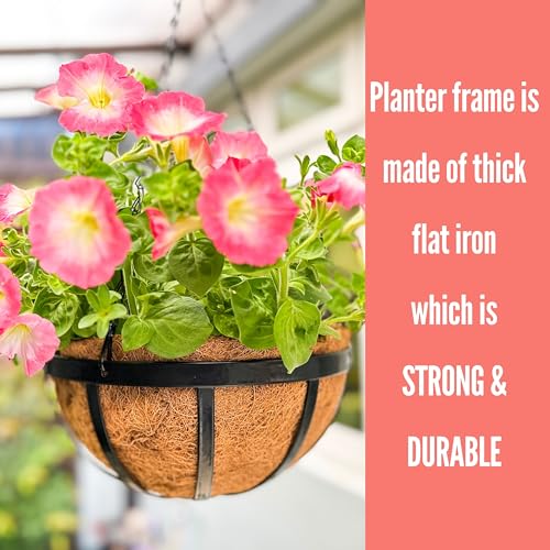 LaLaGreen Coco Hanging Baskets (10 in, 2 Pack) Black Iron Plant Pot Holder - size: 10" (25cm) x 2 Pack