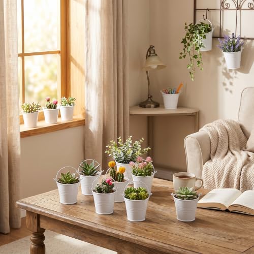 4x5.5x6cm Small Flower Pots, Elegant Warm Colors Iron Mini with Rustproof Paint, for Indoor Outdoor Balcony Windowsill Desk Decor (4 * 5.5 * 6) - color: White, size: 4*5.5*6