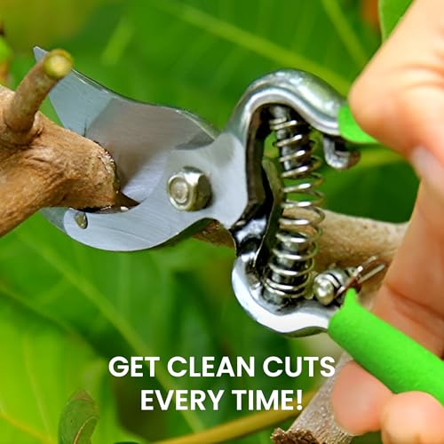 GARDEN GURU Classic Bypass Pruning Shears Clippers – Heavy Duty Forged Steel Garden Pruners – Safety Lock – Non Slip Comfort Grips – Cuts up to 1” Diameter – Professional Bypass Pruners for Gardening - size: 1 Pack, style: Bypass Pruner