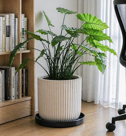 D'vine Dev Ceramic Plant Saucer/Drainage Tray, 11.8 in, Black, 97-T-B-6 - color: Black, size: 11.8" (1 Pack)