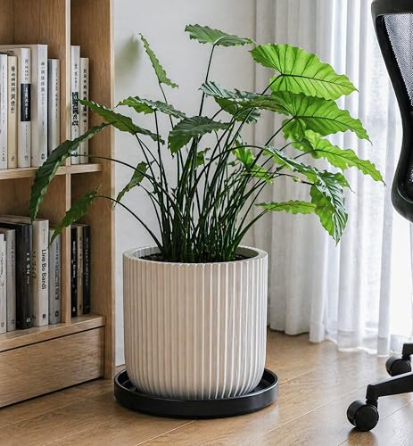D'vine Dev Ceramic Plant Saucer/Drainage Tray, 11.8 in, Black, 97-T-B-6 - color: Black, size: 11.8" (1 Pack)