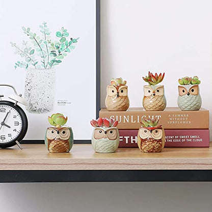 T4U Owl Succulent Pots, Mini Ceramic Gift Pots with Drainage, Retro 6 Pack - color: Owl, size: Pack of 6