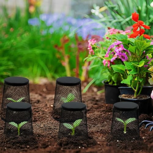 6 PCS Small Chicken Wire Plant Covers for Seedling, 3.5 Inch Mini Garden Cloches Metal Netting Protectors for Keeping Chicken Squirrels Birds Out, Only Suitable for Very Small Seedlings or Seeds
