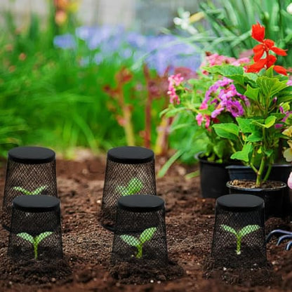6 PCS Small Chicken Wire Plant Covers for Seedling, 3.5 Inch Mini Garden Cloches Metal Netting Protectors for Keeping Chicken Squirrels Birds Out, Only Suitable for Very Small Seedlings or Seeds