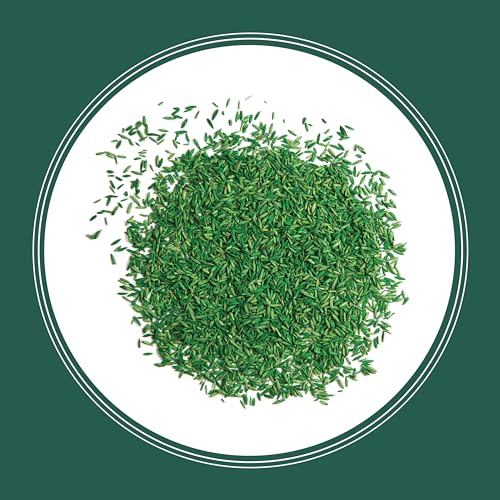 Pennington Smart Seed Sun and Shade Mix North Grass Seed, 3 lb - size: 3 lb