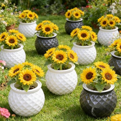 Self Watering Planter Pots, Automatic Water Absorbing Pot Indoor Hydroponic Plant Flower Pots for Green Luo, Succulent Plant (White, 11x10.5cm) - color: White