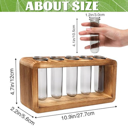 Glass Plant Propagation Station with 5 Test Tubes Colorful Planter Vase - color: Gray