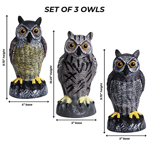 Owl Decoys to Scare Birds Away Plastic Owls Statue for Garden & Outdoors, 3 - style: Asian