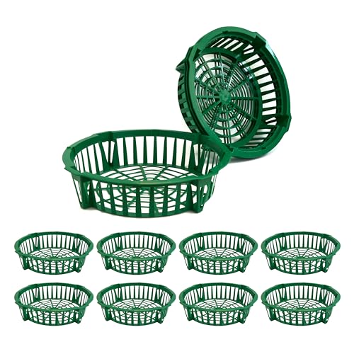 Plant Trays 12 Pcs - Plastic Trays for Bulb Planting - Seedling Trays - Planting Basket for Onion, Flower Bulbs
