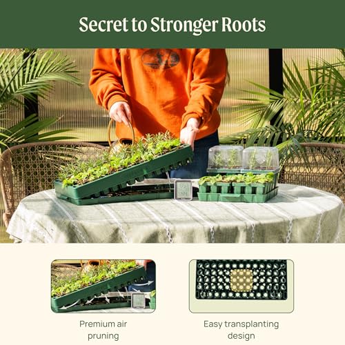 Vego garden 3-in-1 Plant & Pop Board Seedling Popper Tool, 10" x 20", Works Perfectly with Stackable Seedling Trays - size: 1 Pack, style: Plant & Pop Board