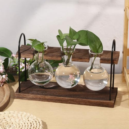 Plant Terrarium with Wooden Stand Retro Glass Bulbs Propagation Station Hydroponic Greenery Vase Rack for Stunning Tabletop Display Indoor Home Office Plant Lovers Gift Decor