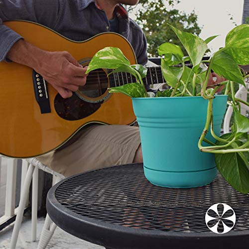 Bloem Saturn Planter with Saucer, 7", Passion Fruit (SP0729) - color: Passion Fruit, size: 7"