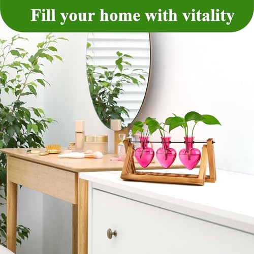 XXXFLOWER Plant Terrarium Propagation Stations 3 Heart Shaped Vases - size: 3 Heart Vase
