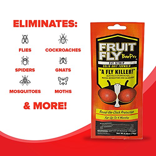Fruit Fly BarPro – 4 Month Protection Against Flies, Cockroaches, Mosquitos & Other Pests – Non-Toxic & Portable for Indoor & Outdoor Use - size: 1 Pack
