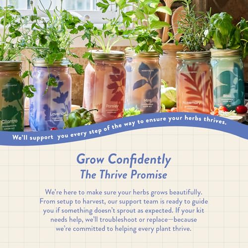 Modern Sprout Hydroponic Grow + Harvest Bundle - color: Lavender Garden Jar + Lavender Shears