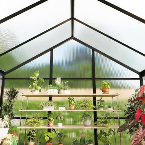 6x8 FT Polycarbonate Walk-in Greenhouse with Roof Vent & Sliding Door - color: Black, size: 6x8 FT