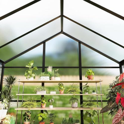6x8 FT Polycarbonate Walk-in Greenhouse with Roof Vent & Sliding Door - color: Black, size: 6x8 FT