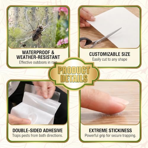 100 Gnat Sticky Traps for Plants, Transparent Double Sided Indoor Outdoor