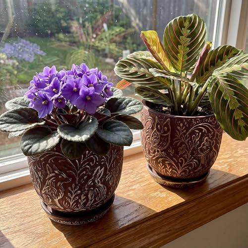 Decorative Ceramic Planter Pot with Saucer, Brown with Gold and Silver Owl Pattern, Indoor Garden Container with Drainage (G&S, 6 inch) - color: G&s, size: 6 inch