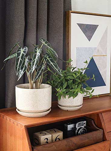 LE TAUCI Ceramic Pots for Plants, 4.3+5.3+6.8 Inch, Set of 3, Glazed Beige - color: Reactive Glaze Beige, size: 4.3"+5.3"+6.8"