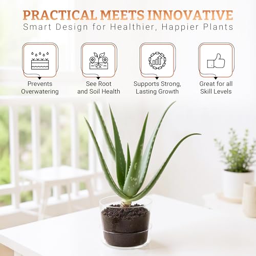 Sheer Glass Pot Planter with Drainage Holes & Tray - Decorative & Modern for All House Plants (4 Inches) - size: 4 Inches