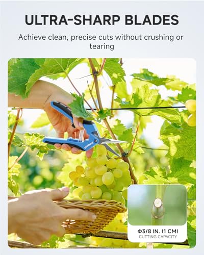 Fondwell 6.5" Small Pruning Shears for Gardening, Plant Trimming Scissors