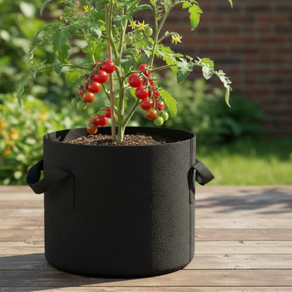 10pcs Gallon Black Grow Bags - Reinforced Fabric Planters with Handles for Gardening, Breathable & Durable Garden Raise Supplies, Ideal for Indoor & Outdoor Vegetable Gardens