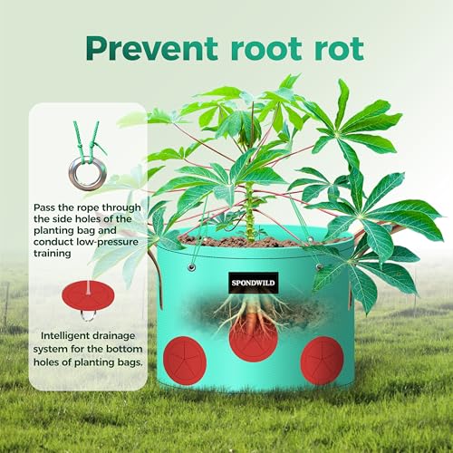 7 Pcs 2 Gallon Grow Bags, PE Plant Pots with 8 Breathable Holes - size: 2 gallon, style: Dot_Grow_Bags
