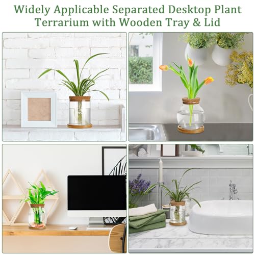 6 Pcs Glass Plant Propagation Station with Wood Lid & Stand, Classic Style - style: Classic