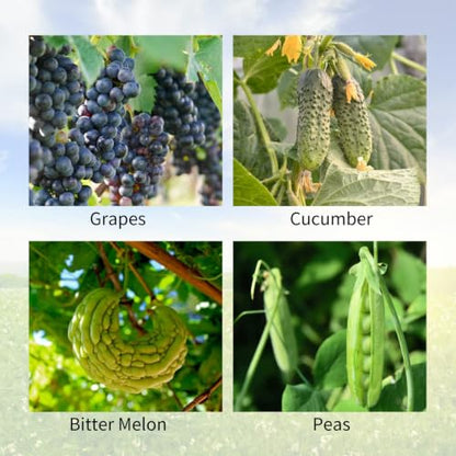 Cucumber Trellis 2 Pack,Foldable A-Frame Garden Trellis - color: Grass Green, size: 39.4" H