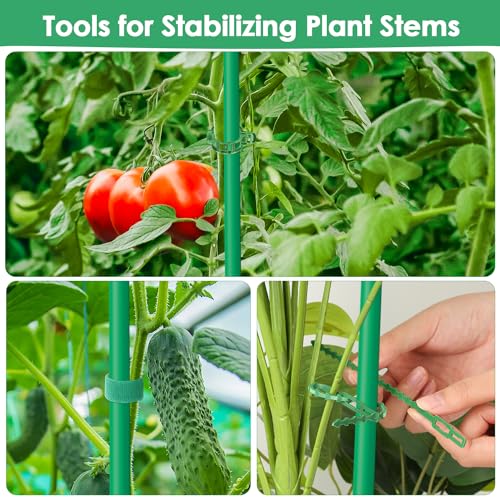 3 Pack Tomato Cages for Garden, Square Tomato Trellis with Grow Bags, 49 IN Tall Heavy Duty Tomato Plant Stakes Support Cages Trellis for Raised Beds Pots Garden Climbing Vegetables Flowers Fruits - color: 3 Pack Tomato Cages