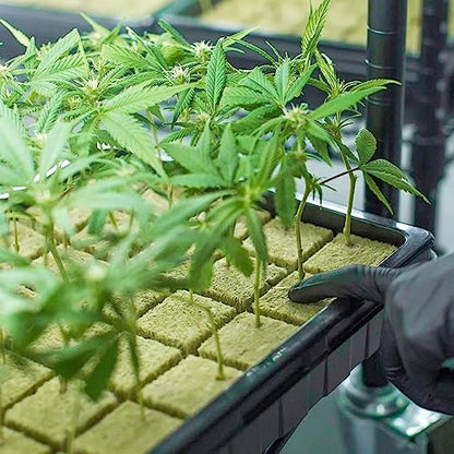 Halatool 1.2 in Rockwool Cubes for Hydroponics, 72 Plugs Seed Starter Cubes - color: 2 Sheets, size: 1.2" Cubes