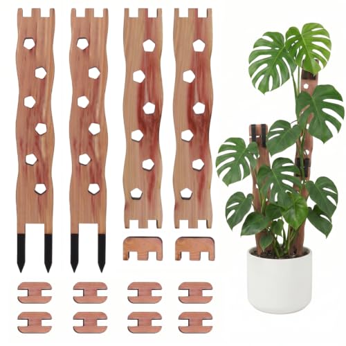 Wooden Extendable Plant Trellis for Potted Plants Indoor, 2 Sets - size: 2 Sets