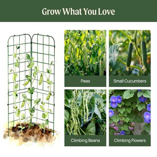 Vego Garden A-Frame Trellis Cucumber Cage for Garden & Pots, Rust-Resistant Tomato Stakes Heavy Gauge Plant Cage Trellis Support for Climbing Vegetables Plants 2 Pack - size: 63" Tall