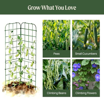 Vego Garden A-Frame Trellis Cucumber Cage for Garden & Pots, Rust-Resistant Tomato Stakes Heavy Gauge Plant Cage Trellis Support for Climbing Vegetables Plants 2 Pack - size: 63" Tall