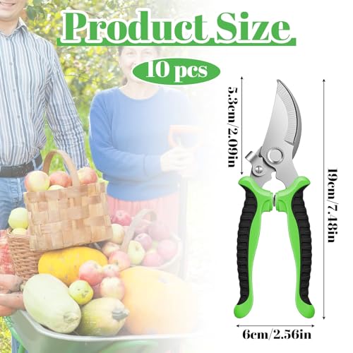 10 Pcs Garden Shears Pruning Garden Clippers Bulk Bypass Pruner Heavy Duty for Gardening Hedge Plant Cutting Flower Scissors for Rose, Tree Trimming & weak Hand, Heavy Duty Pruning Scissor