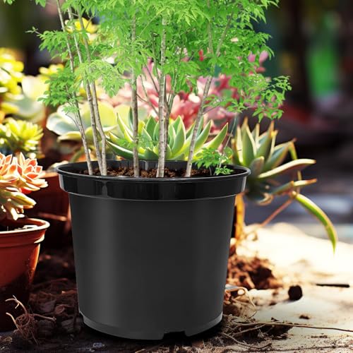 RooTrimmer 5 Gallon Nursery Pots 10-Pack, 12 Inch Plastic Planter with Drainage Holes – Round, Sturdy, Deep Design for Indoor/Outdoor Plants - size: 5Gallon-10P-Black