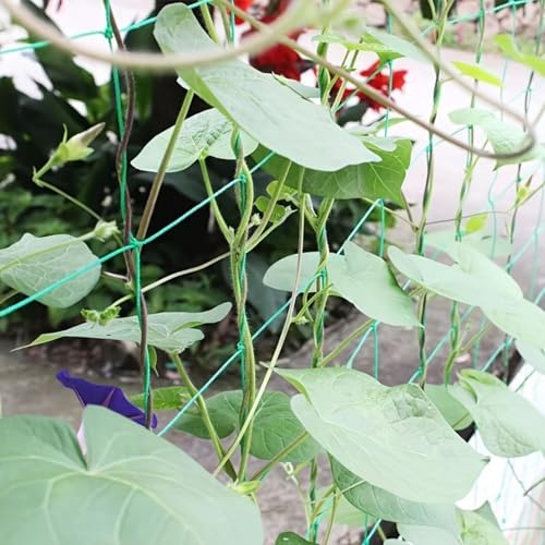 Plant Climbing Net Heavy-Duty Nylon Plant Climbing Net - Portable Flower Vine Climbing Frame for Garden, Vegetable & Flower Plants - Breathable Mesh Design Prevents Damage & Allows Growth