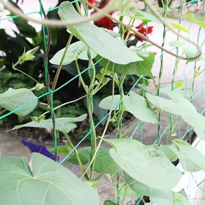Plant Climbing Net Heavy-Duty Nylon Plant Climbing Net - Portable Flower Vine Climbing Frame for Garden, Vegetable & Flower Plants - Breathable Mesh Design Prevents Damage & Allows Growth