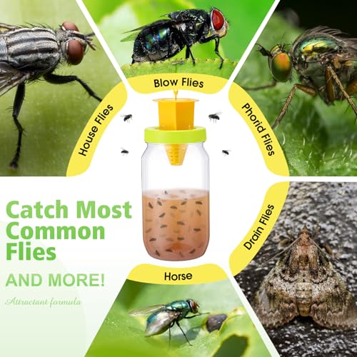 12 Pack Fly Traps Outdoor, Reusable Fly Catcher Bottles with Bait Hanging Flies Traps with Non-Toxic Dissolvable Bait Refills for Flying Insect Drain Patio Garden Yard Barn Outdoor