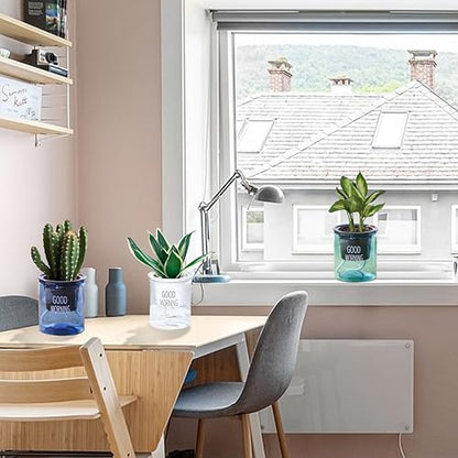 2PCS Self Watering Planters 4.71 Inch Self Watering Pots for Indoor Plants, African Violet Pots with Wick Rope, Flowers, Succulents, Herb, House Plants - color: Transparent